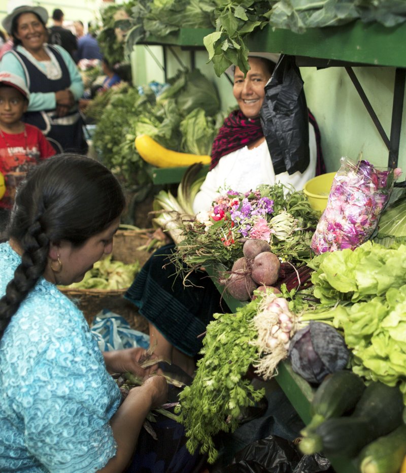 Economía y oficios cotidianos en Girón