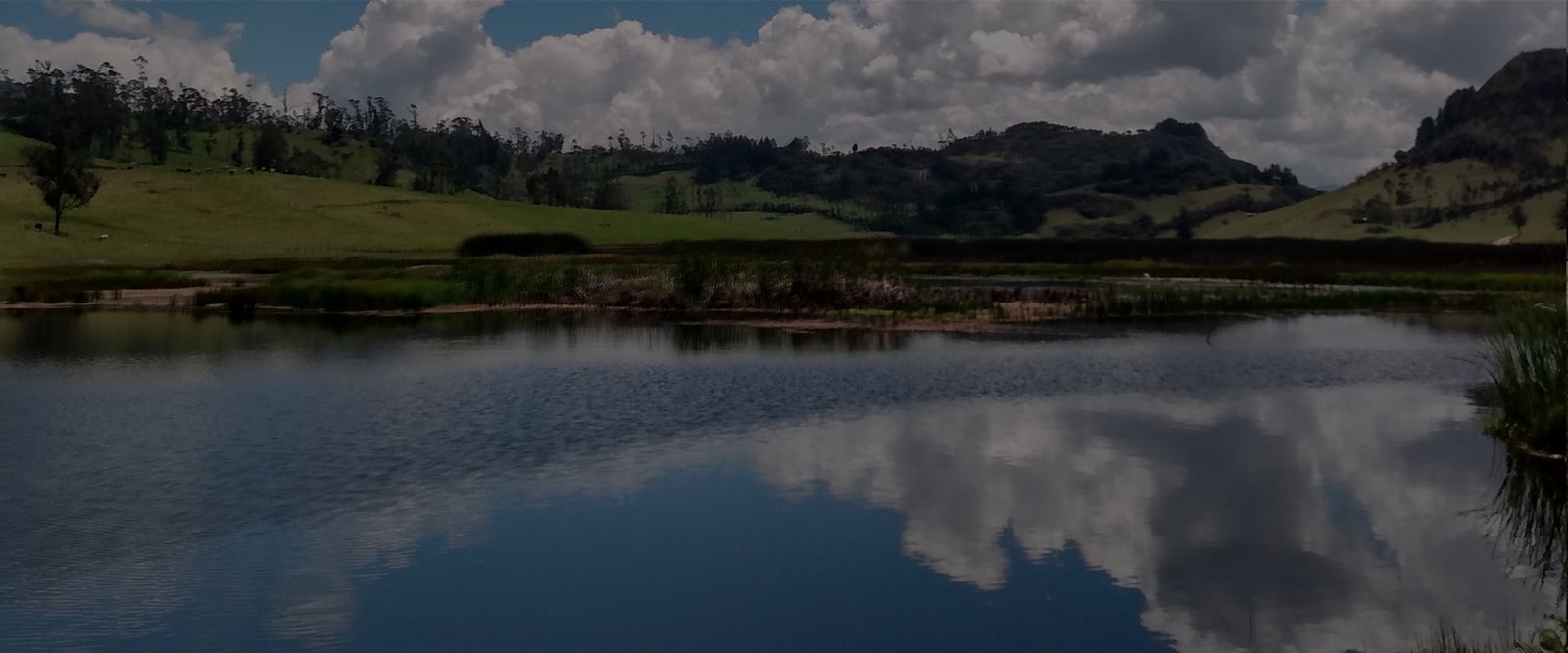 La Laguna San Martín, en San Gerardo, Girón, conserva un humedal andino en recuperación, rodeado de pastizales y senderos, adecuado para caminatas tranquilas y observación de naturaleza.