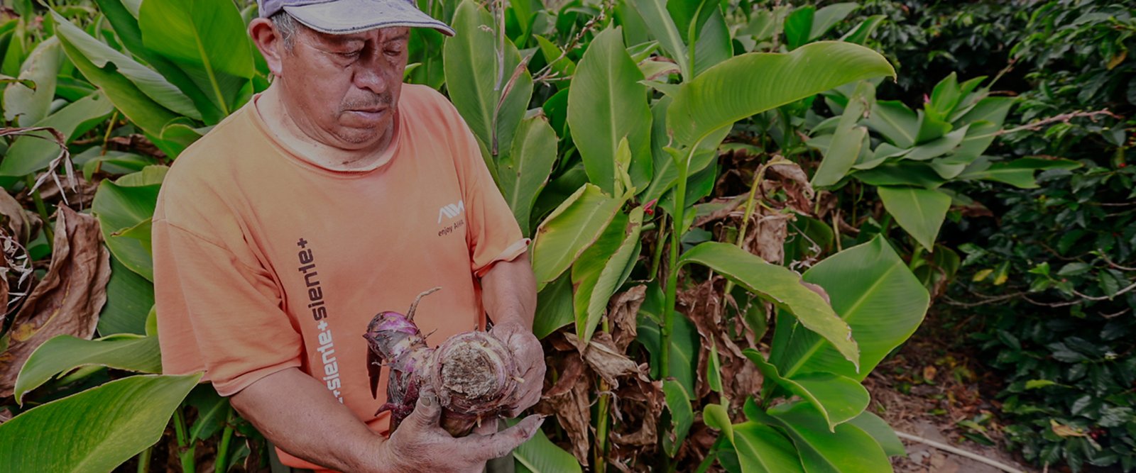 Tradición productiva que impulsa turismo y cultura